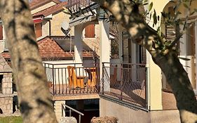 Apartments Pavle